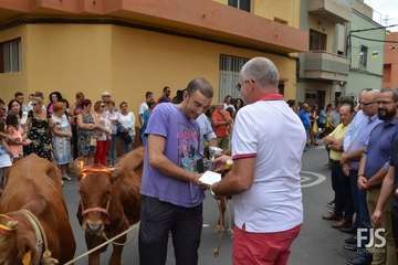 Misa, desfile del ganado y procesión religiosa en el Valle de los Nueve de Telde (Foto Francisco Javier Santana)